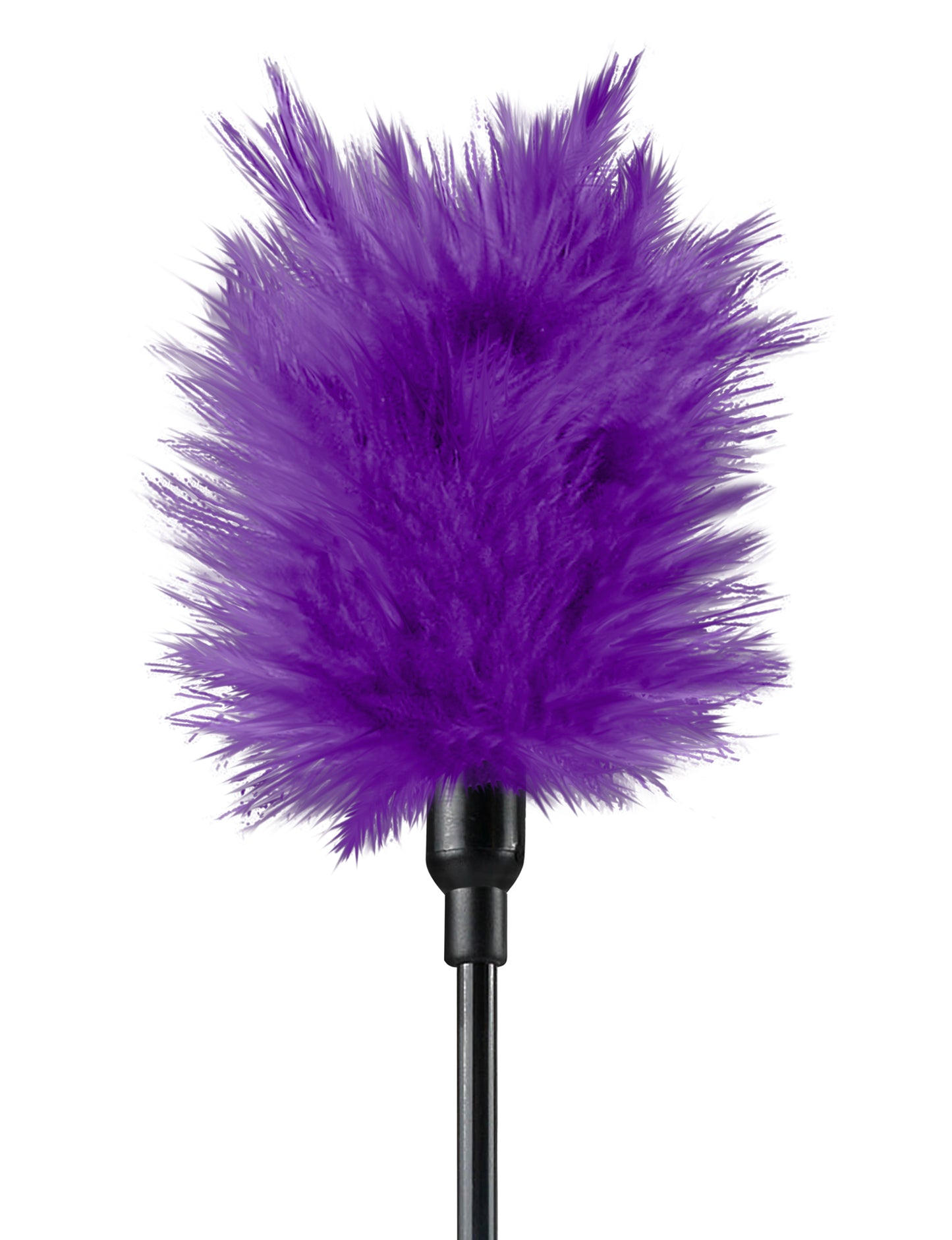 Purple Passion Kit by Pipedream