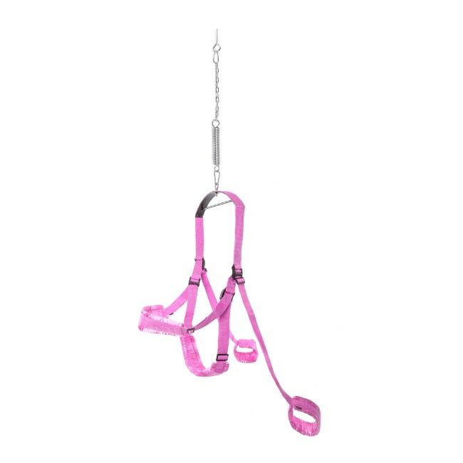 Fetish Fantasy Sex Swing