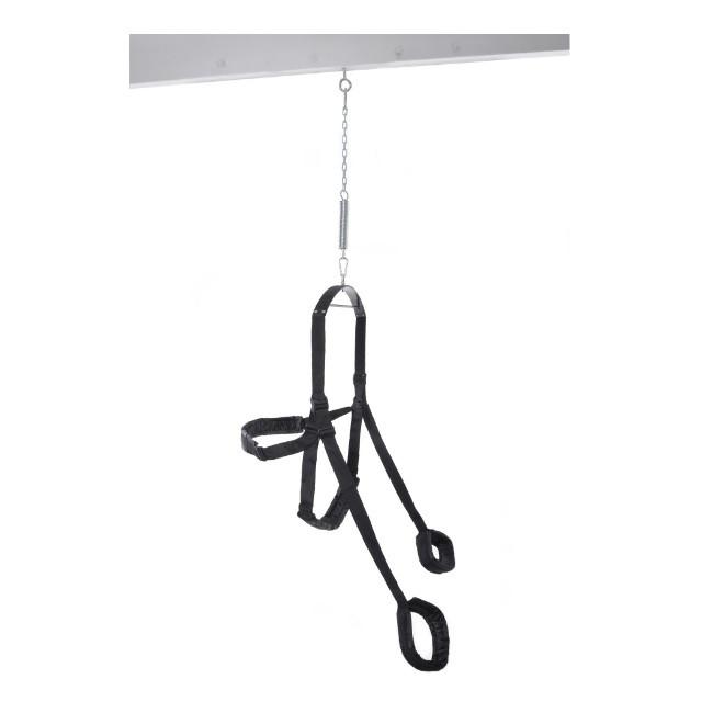 Fetish Fantasy Sex Swing