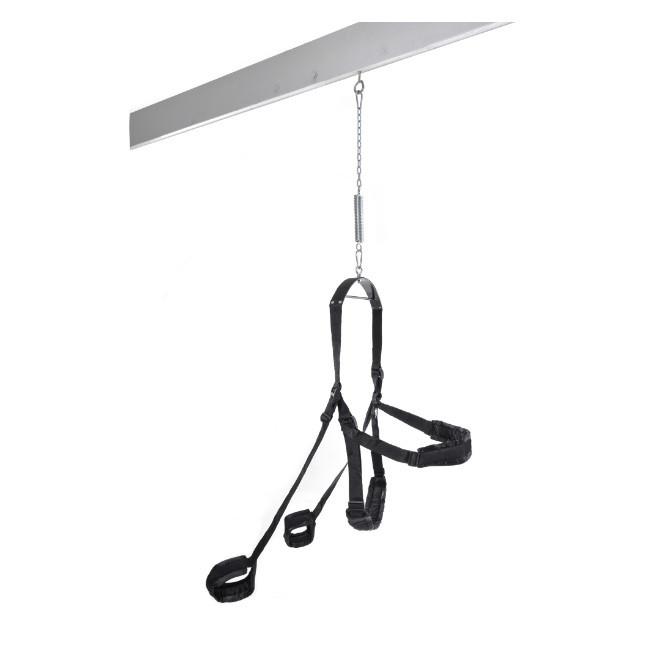 Fetish Fantasy Sex Swing