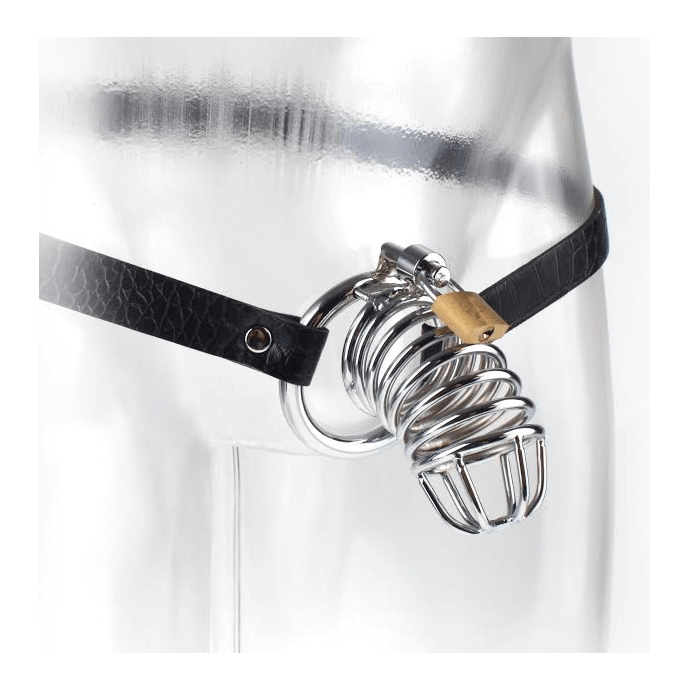 Fetish Fantasy Extreme Chastity Belt and Cock Cage