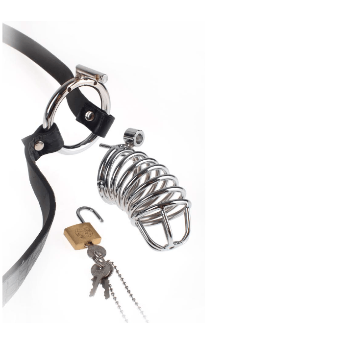Fetish Fantasy Extreme Chastity Belt and Cock Cage