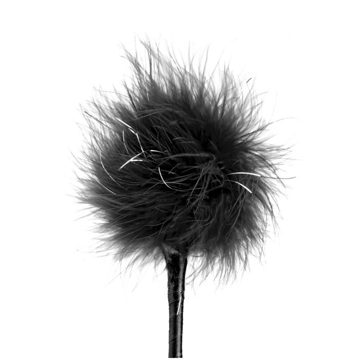 Fetish Fantasy Feather Crop