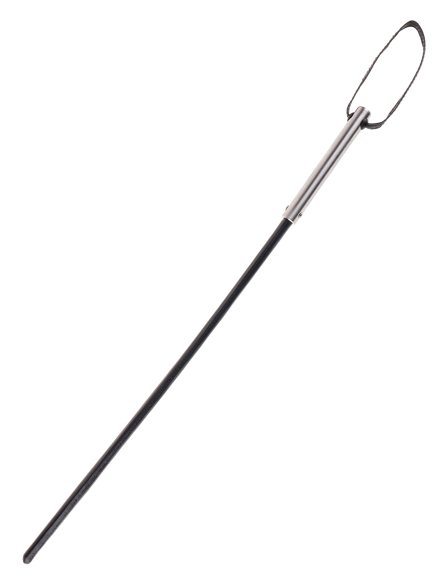 Insane Cane by Fetish Fantasy Extreme