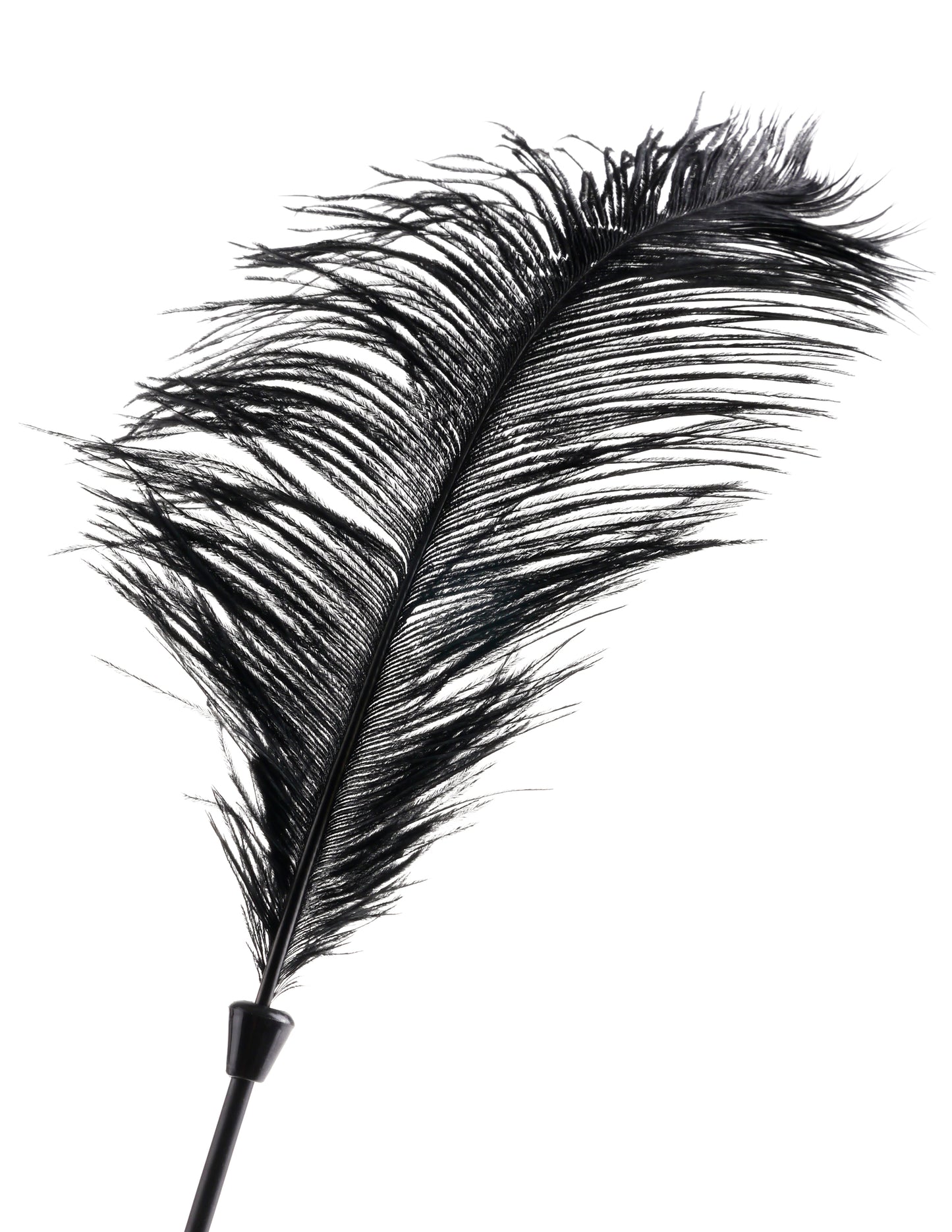 Love Plumes