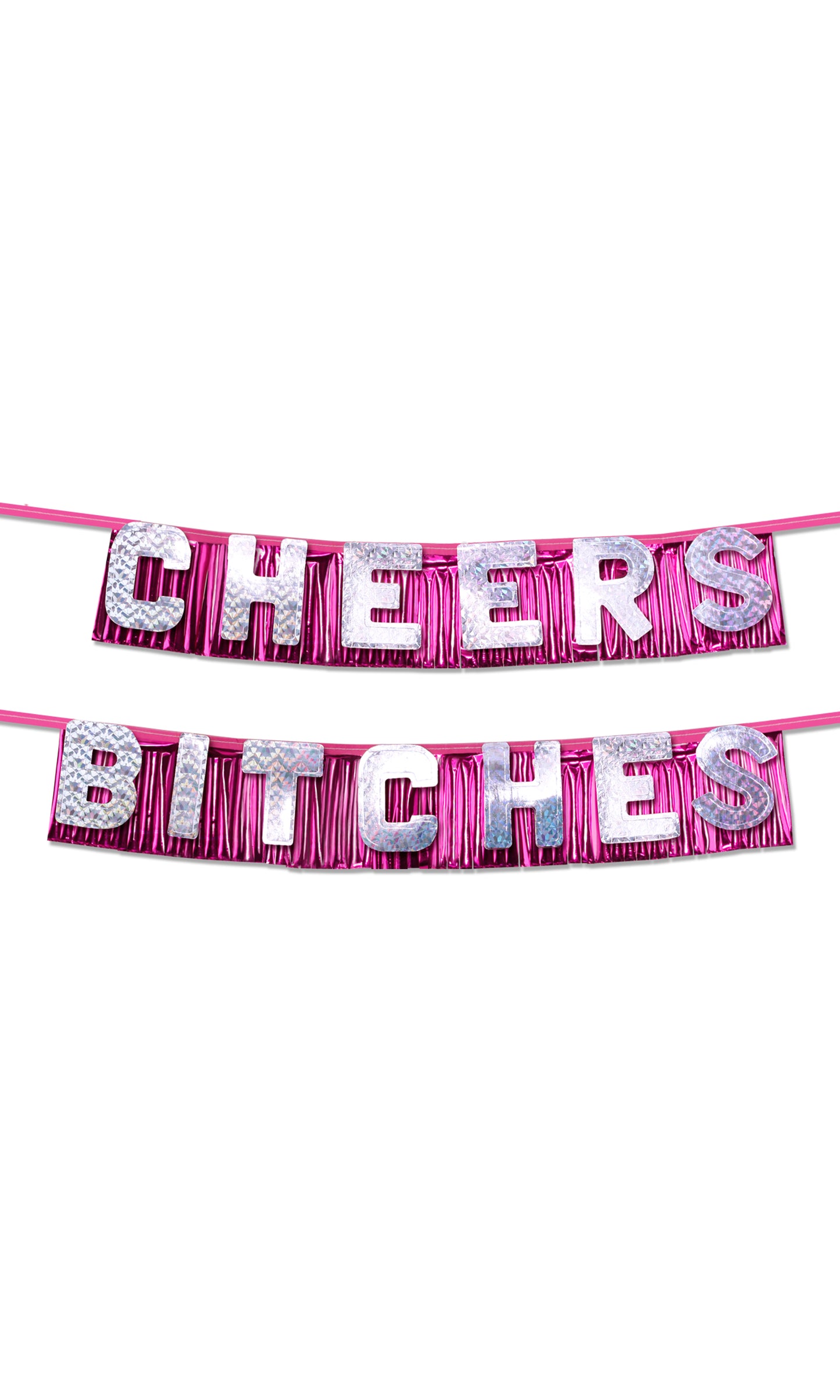 Favors "Cheers Bitches" Party Banner