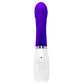 Disco Triple Play G-Spot Anal Clitoral USB Rechargeable Waterproof Vibrator