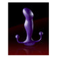 Aneros Progasm Ice Prostate Massager