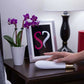 Jopen Callie 7 Function Dual Massager USB Rechargeable G-Spot Vibrator