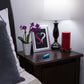 Screaming O Charged Vooom 10 Function Rechargeable Bullet Vibe