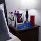 Doc Johnson Ballsy Realistic 9 Inch Dildo With Suction