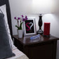 Doc Johnson Crystal Jellies 6 Inch Realistic Anal Dildo