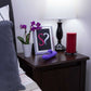 Evolved Novelties 10 Functions USB Rechargeable Romantic Rabbit Vibrator