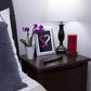 Dr Joel Kaplan Vibrating Prostate Massager
