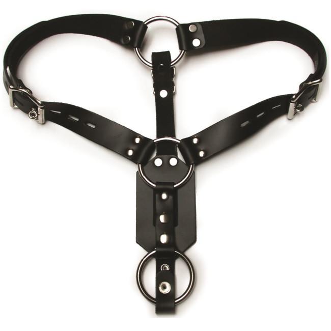 Kinklab Anal Plug Harness With Cock Ring