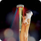 Fetish Fantasy Light Up Disco Dance Pole by  Pipedream -  - 2