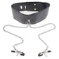 Fetish Fantasy Leather Collar & Nipple Clamp Set