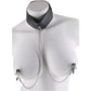 Fetish Fantasy Leather Collar & Nipple Clamp Set