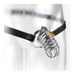Fetish Fantasy Extreme Chastity Belt and Cock Cage