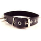 Spiked Collar 1 inch Bondage Gear