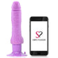 Shower Stud Ballsy Vibe
