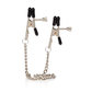 Non-Piercing Bullnose Nipple Clamps and Chain