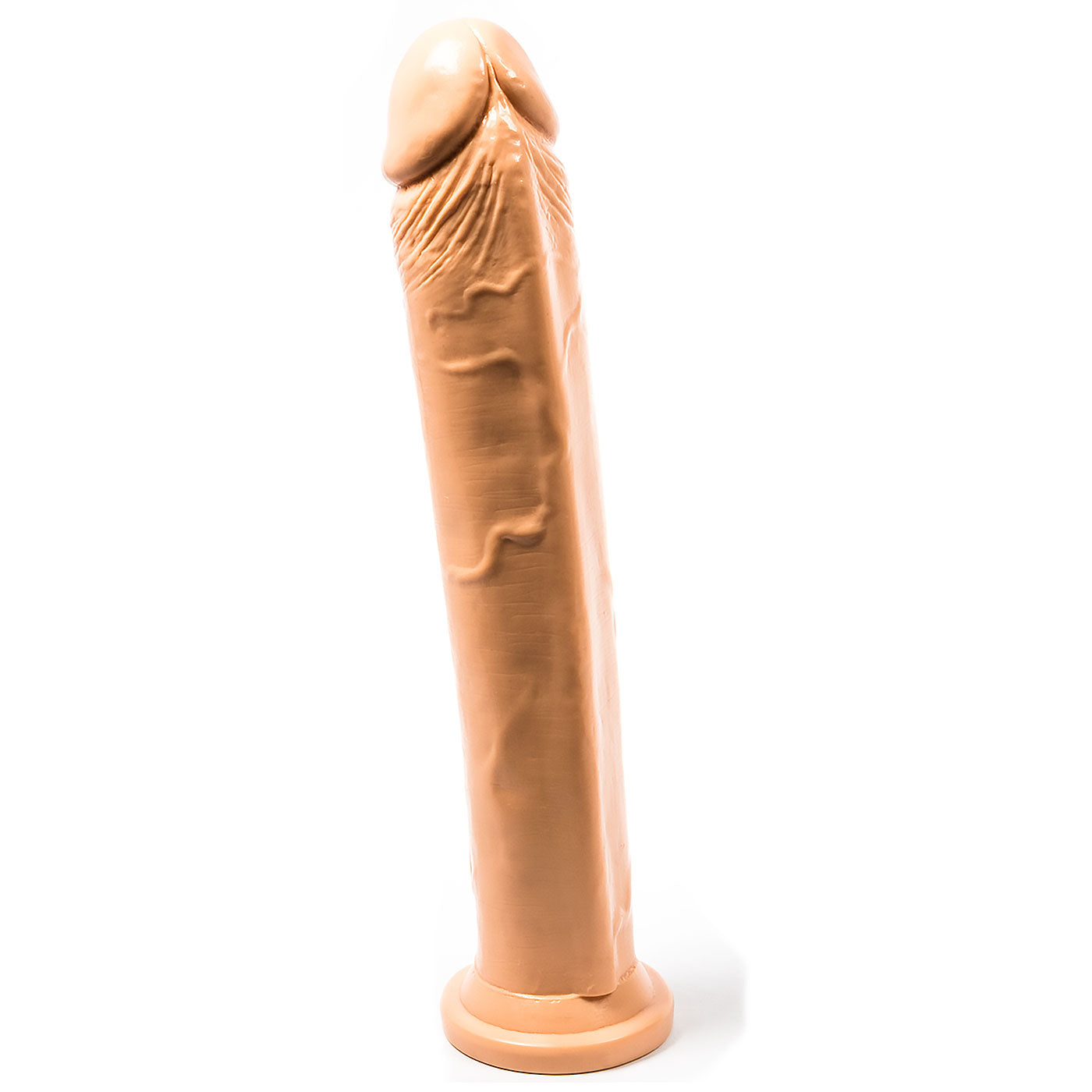 Dong W/Suction Cup Smooth 10 Inch Dildo