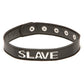XPlay Talk Dirty to Me Collar