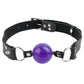 Penis Ball Gag (Fetish Fantasy Series)