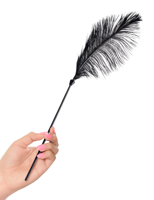 Love Plumes
