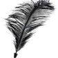 Love Plumes