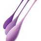 Kegel Train-Her Set by Fantasy For Her