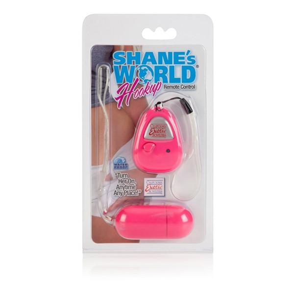 Shane's World Hookup Remote Control Egg Vibe