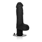 Shower Stud Ballsy Vibe