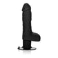 Shower Stud Ballsy Vibe